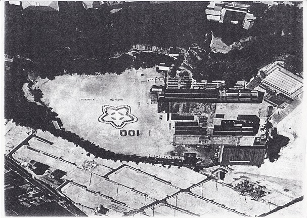 山崎小学校から新平田小学校の校舎の中庭に移植されたかいどうの樹